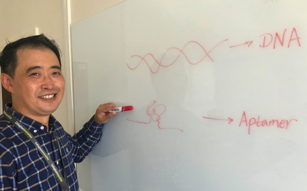 Dr Peter Li stands in front of a whiteboard, on which are roughly hand drawn in red - a  helix-shaped DNA strand, and a free-form single wiggly line to represent an aptamer.