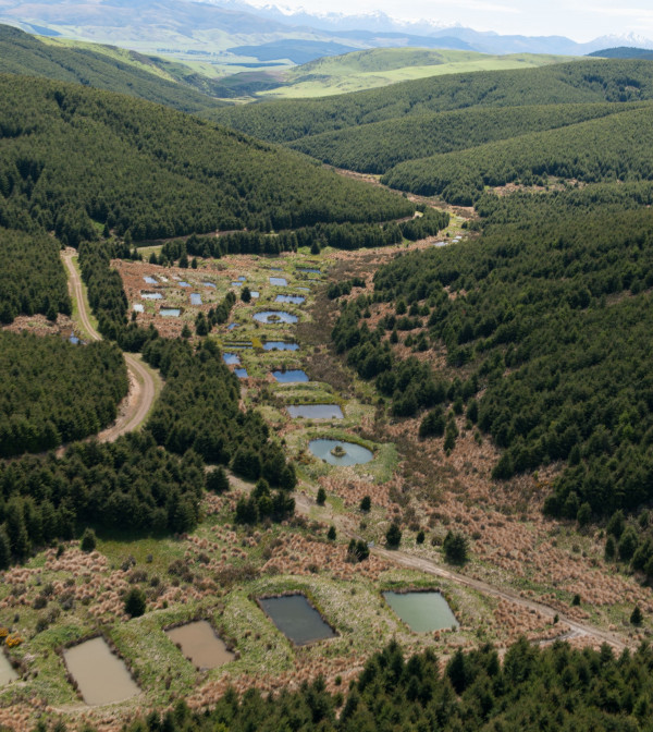 A view of a valley covered in forestry, with multiple ponds cut into the landscape inside fire breaks